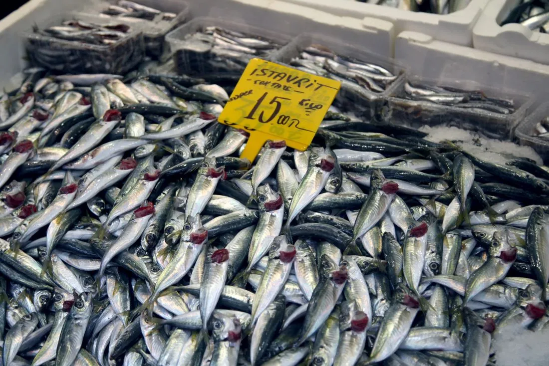 Fresh silvery fish laid out on ice at a market